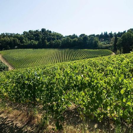 Stunning Country House Overlooking Tuscany Hills Lorenzana ภายนอก รูปภาพ