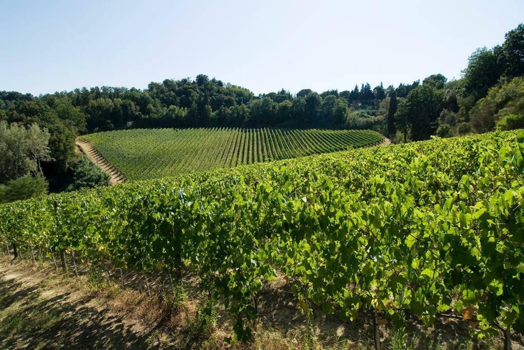Stunning Country House Overlooking Tuscany Hills Lorenzana ภายนอก รูปภาพ